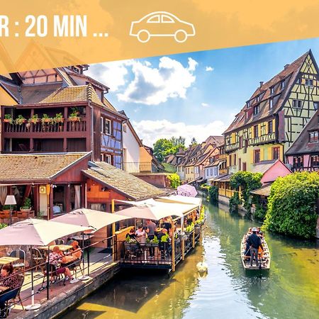✧ La Suite ✧ Studio De Charme Route Des Vins Kintzheim Zewnętrze zdjęcie